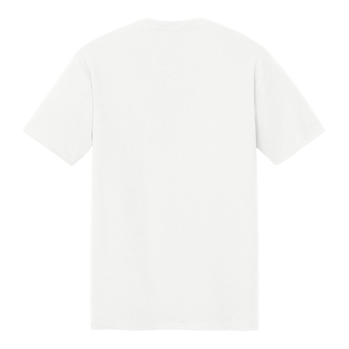 Pickle in the Land Triblend T
