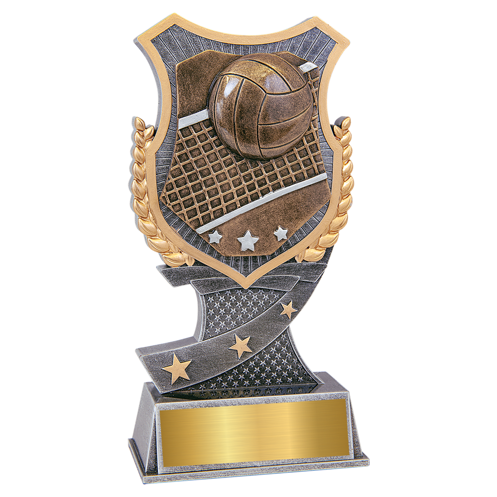 Volleyball Shield Award