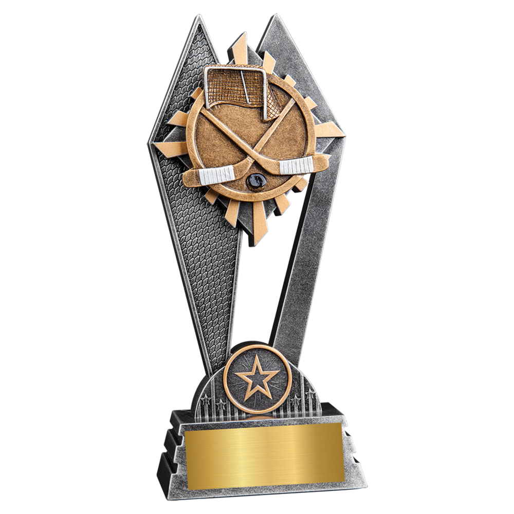Hockey Sun Ray Award