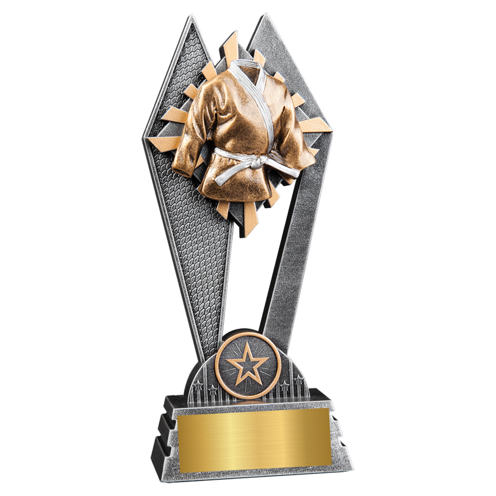 Martial Arts Sun Ray Award
