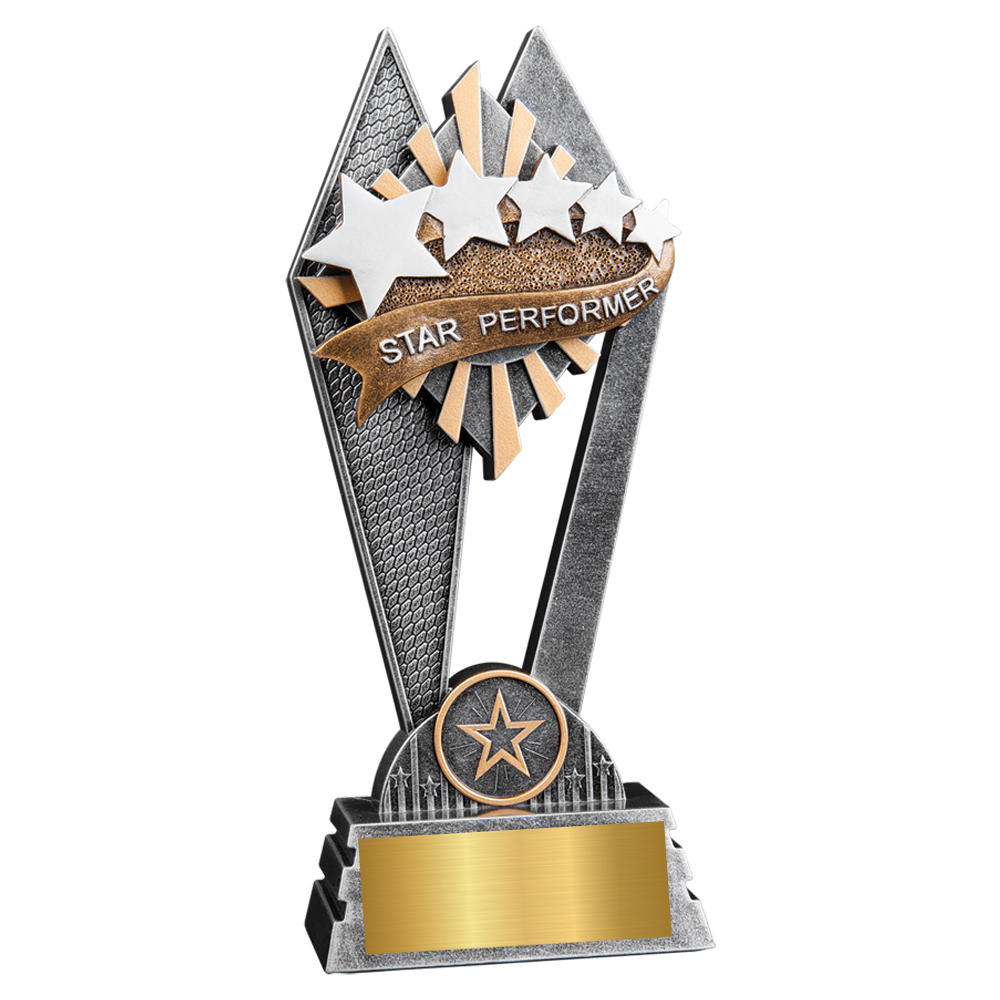 Star Performer Sun Ray Award