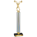 Value Silver Carbon Fiber Weights Trophy