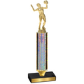 Value Silver Glacier Volleyball Trophy