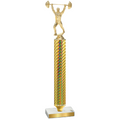 Value Gold Carbon Fiber Weights Trophy