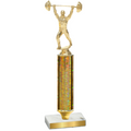 Value Gold Glacier Weights Trophy