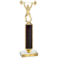 Value Black Glacier Weights Trophy