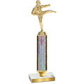 Value Silver Glacier Karate Trophy