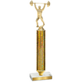 Value Gold Glacier Weights Trophy