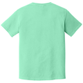 Island Reef back - COMFORT COLORS Heavyweight Ring Spun Tee