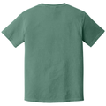 Light Green back - COMFORT COLORS Heavyweight Ring Spun Tee
