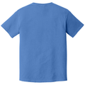 Mystic back - COMFORT COLORS Heavyweight Ring Spun Tee
