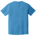 Royal Caribe back - COMFORT COLORS Heavyweight Ring Spun Tee