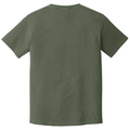 Sage back - COMFORT COLORS Heavyweight Ring Spun Tee
