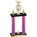 Double Pink Carbon Fiber Second Place Academics Trophy