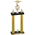 Double Gold Carbon Fiber Year Cars Trophy