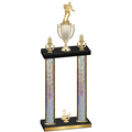 Double Silver Glacier Second Place Rugby Trophy