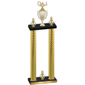 Double Gold Carbon Fiber Victory Academics Trophy