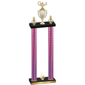 Double Pink Carbon Fiber First Place Academics Trophy