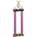 Double Pink Carbon Fiber Second Place Academics Trophy