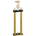Double Gold Carbon Fiber Year Cars Trophy