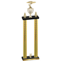 Double Gold Carbon Fiber Year Cars Trophy