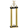 Double Gold Carbon Fiber Victory Academics Trophy