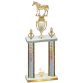 Double Silver Glacier Second Place Horses Trophy