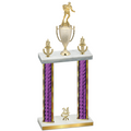 Double Purple Glacier Year Rugby Trophy