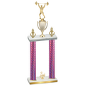 Double Pink Carbon Fiber Third Place Weights Trophy