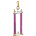 Double Pink Carbon Fiber Year Swimming Trophy