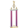 Double Pink Carbon Fiber Third Place Academics Trophy