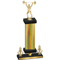 Premium Single Gold Carbon Fiber Victory Weights Trophy