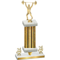 Premium Single Gold Glacier Year Weights Trophy
