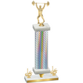 Premium Single Silver Carbon Fiber First Place Weights Trophy