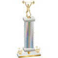 Premium Single Silver Carbon Fiber Second Place Weights Trophy
