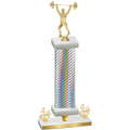 Premium Single Silver Carbon Fiber Fourth Place Weights Trophy