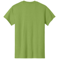 Kiwi back - Gildan Heavy Cotton 100% Cotton T-Shirt