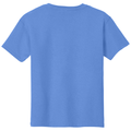 Carolina Blue back - Gildan Youth Heavy Cotton 100% Cotton T-Shirt