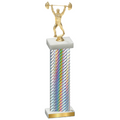 Single Silver Carbon Fiber Weights Trophy