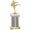 Single Silver Glacier Karate Trophy