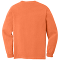 Burnt Orange back - COMFORT COLORS Heavyweight Ring Spun Long Sleeve Tee