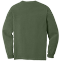 Hemp back - COMFORT COLORS Heavyweight Ring Spun Long Sleeve Tee