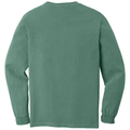 Light Green back - COMFORT COLORS Heavyweight Ring Spun Long Sleeve Tee
