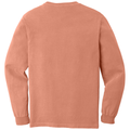 Terracotta back - COMFORT COLORS Heavyweight Ring Spun Long Sleeve Tee