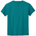 Jade Dome back - Gildan Youth DryBlend 50 Cotton/50 Poly T-Shirt