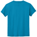 Sapphire back - Gildan Youth DryBlend 50 Cotton/50 Poly T-Shirt