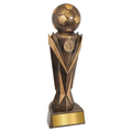Soccer Astro Award
