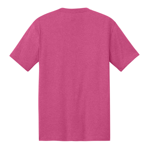Pickle in the Land Triblend T