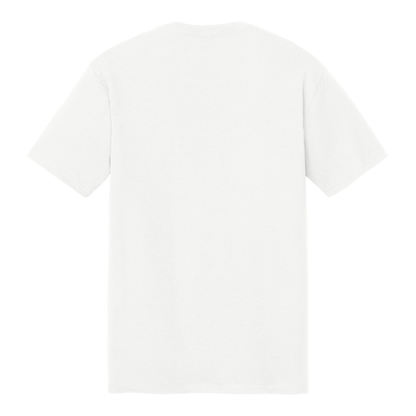 Pickle in the Land Triblend T