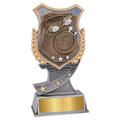Swimming Shield Award